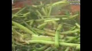 081821.910.044551_081853