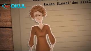 Edebiyatın Yüzü Peyami Safa