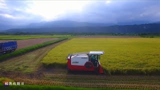 現塲割稻秀/Japan yanmar AW106