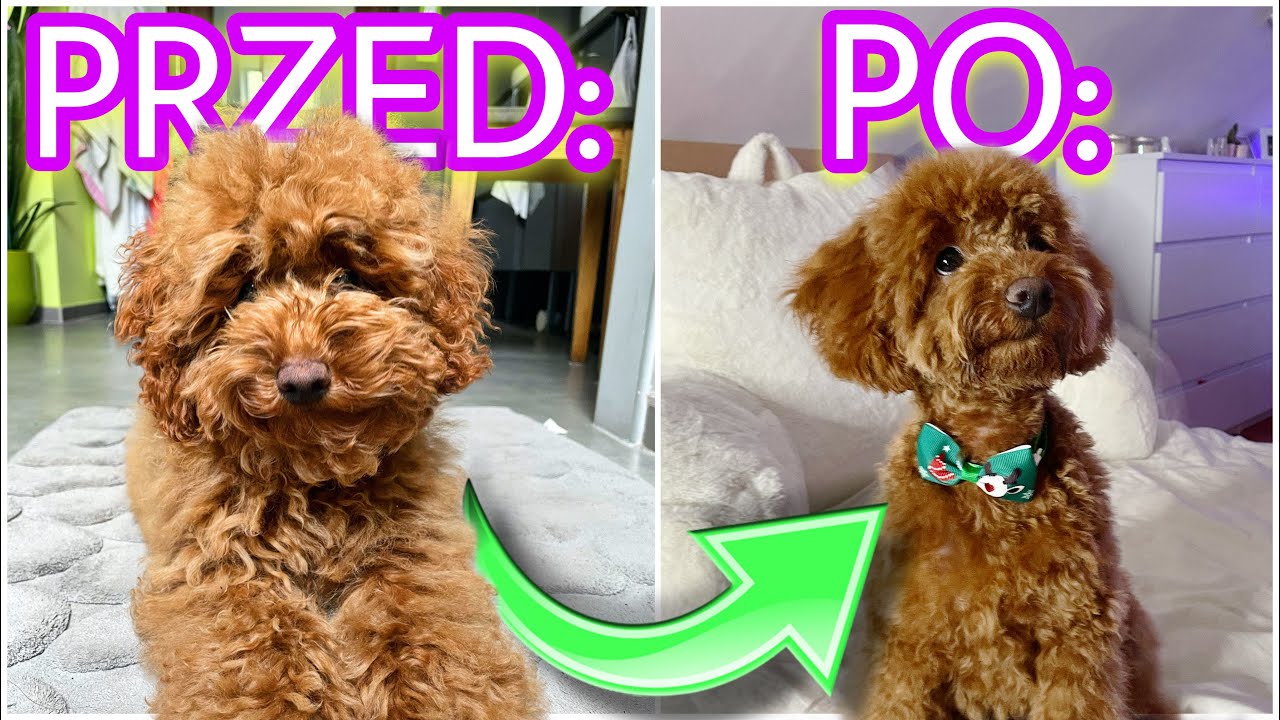 JEGO PIERWSZA WIZYTA U FRYZJERA!