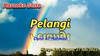 Pelangi Pelangi (Karaoke Lagu Anak)