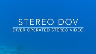 Stereo DOV: A Non-Invasive, Non-Destructive Way to Study Fish Populations