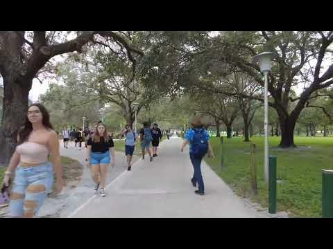 usf walking tour