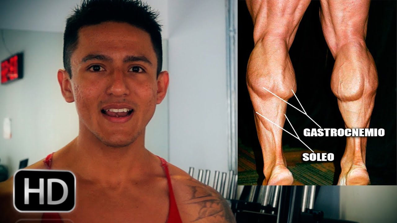 muscular endurance Los 6 Errores Principales Al Entrenar Pantorrillas y Cómo Solucionarlos