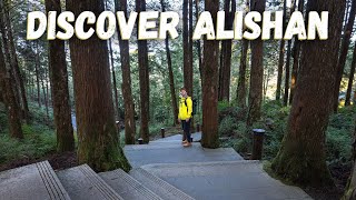 Discover the Magic of Alishan National Forest in Taiwan (阿里山) 🇹🇼 - Famous Sunrise Train!
