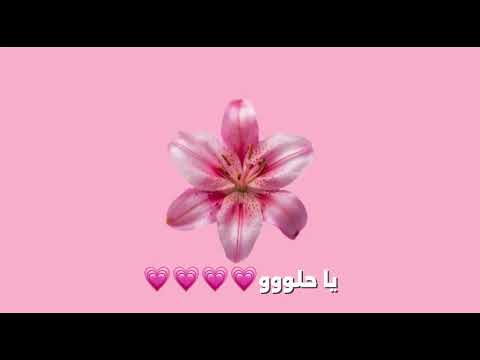       آدم يا حلو بدون موسيقى