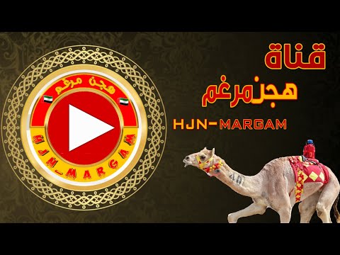 نومستنا فرقة علي بن نعمان الحربيه حصريا 2023
