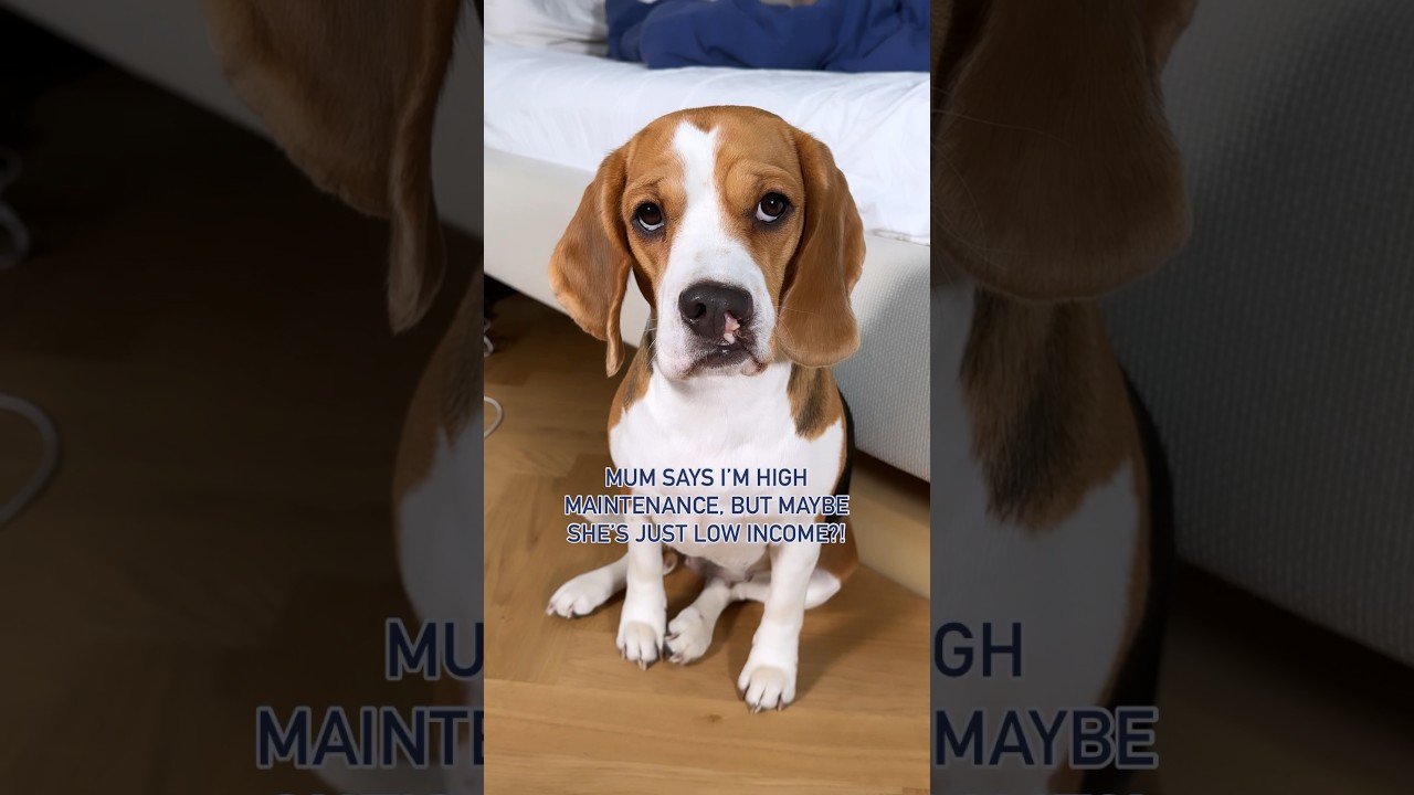 What would you say? 🤨 