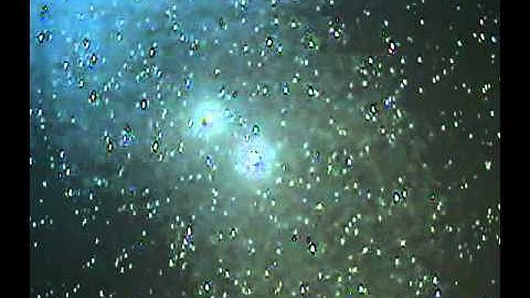 Comet C/2009 P1 Garradd 8/28/11