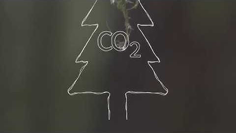 Sealaska Carbon Story (2 min)