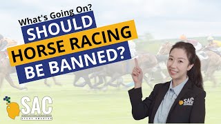 Should Horse Racing be Banned in Australia?