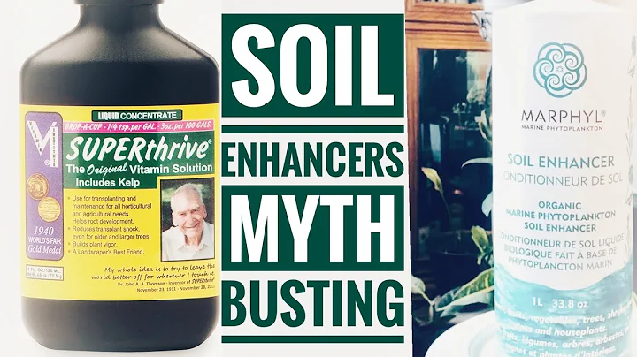 Unveiling the Truth: Are SupertHRive and Marphyl Soil Enhancers Worth It?