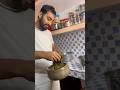 Palak ki sabji #recipe #food #cooking #motivation
