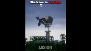 Java Skeleton VS Bedrock Skeleton part 2 💀 #minecraft