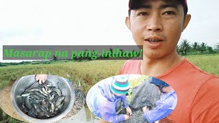 Namin Ang Pond Nina Buddy Romel