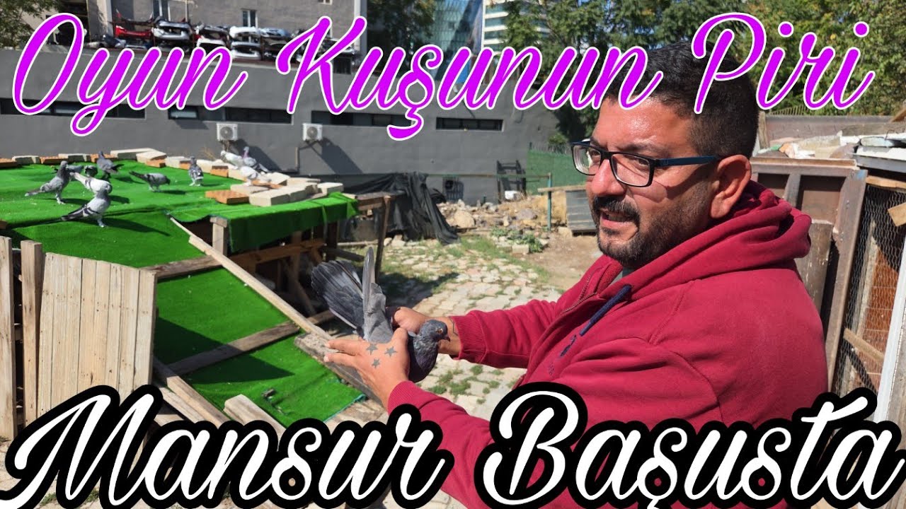 Oyun Kuşunun Piri, Mansur Başusta.