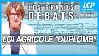 Loi agricole "Duplomb" | Les grands débats