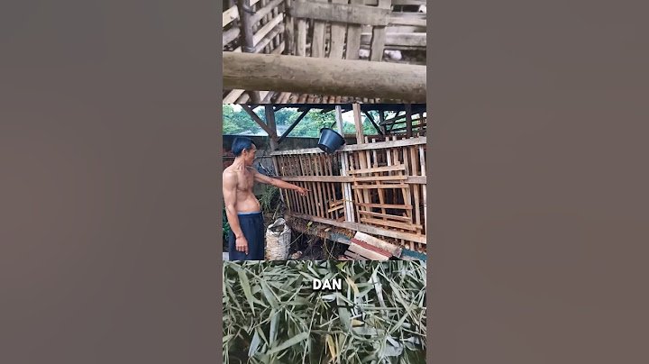 GEGER‼️ 26 ISI PERUT KAMBING DITEMUKAN DI KANDANG #shorts
