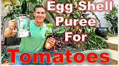 How to Build a Tomato & Vegetable Seed Grow-Light Box: Start Your