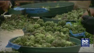 Deerfield won't allow a vote to prohibit the sale of recreational marijuana in town