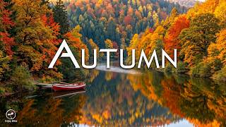 Peaceful Autumn Escape 🍂 Colorful Forest Scenery with Nature Sounds & Soft Piano Music screenshot 4
