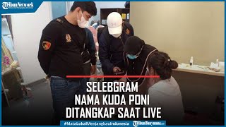 Viral Selebgram Nama Kuda Poni Ditangkap Saat Live