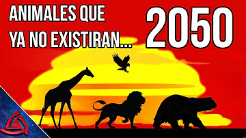 ¿Qué animales no existirán en 2050?