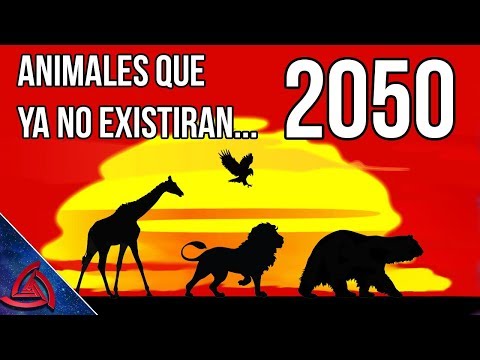 Vídeo: Los Científicos Han Descubierto Qué Animales Se Extinguirán Para El Año 2100 - Vista Alternativa