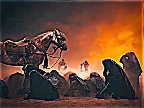 اخر ليلة يمچن يا ي مجتبى الكعبي حالة واتساب