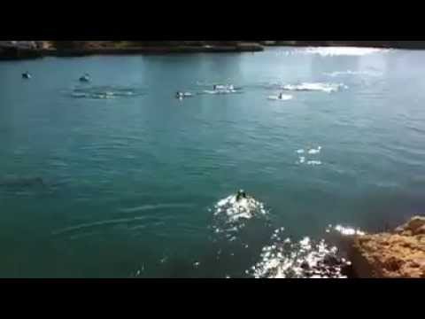 YouTube video