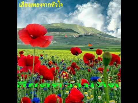 เกลียดความคิดถึง - โกไข่กับนายสน