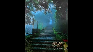تلاوة مختارة من سورة الكهف ▫️(واصبر نفسك مع الذين يدعون ربهم)