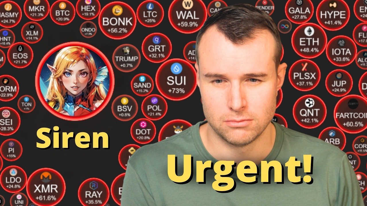 URGENT 💀 Don't Be Dumb with Siren !