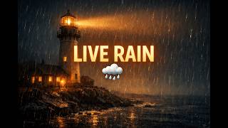Live Rain & Calm Night Ambience 🌙 screenshot 3