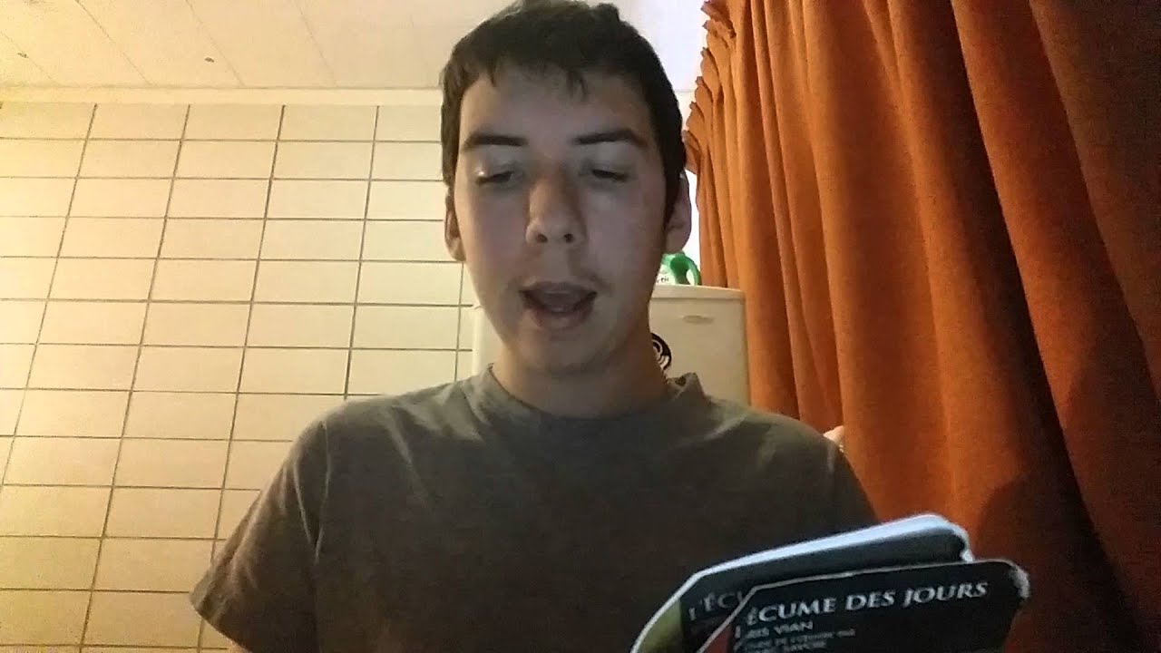 Resume L'ecume Des Jours Boris Vian Chapitre Par Chapitre