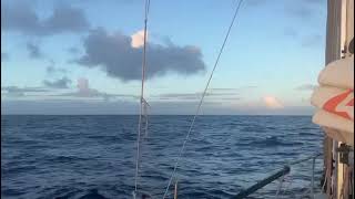 72-Year-Old Solo Sailor Battles the Indian Ocean? No, it can be beautiful | Mini Globe Race 2025 🇦🇺🌊