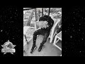 FREE NLE Choppa X Lil Migo Type Beat 2023 | Memphis Type Beat | - "Cut Em"