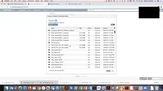Uploading files to PATRIC workspace