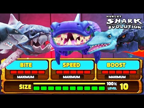 Hungry Shark Evolution - BEST & BIGGEST (All Level 10/Max Stats) - YouTube