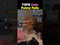 TOP5 Cats Funny Fails