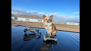 Tesla Gigafactory Nevada Expansion Update Volume V