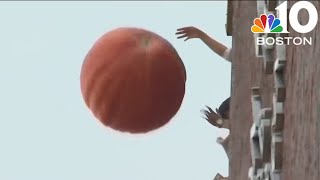 BU's annual pumpkin drop: a 'gross,' 'smelly,' 'awesome' tradition