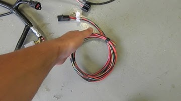 Ford 5.0 EFI Harness M-12071-A50