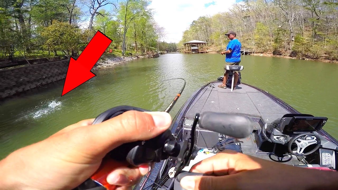 Catching BIG Bass on BIG Swimbaits!!!