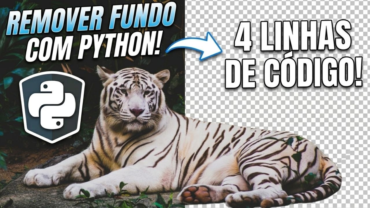 Como Remover o Fundo de Qualquer Imagem com Python (Rápido e Automático ...