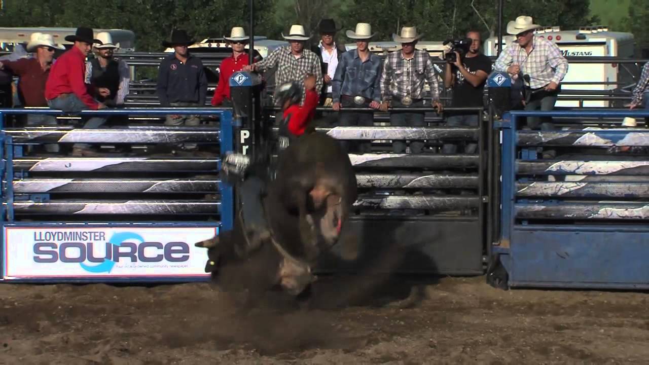 Ty Elliot 81 on Hoggs 84 High Performance. Hillmond, SK (PBR) '13