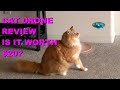 CAT DRONE REVIEW | IS IT WORTY $20? | MINI TOY DRONE