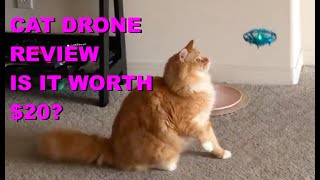 CAT DRONE REVIEW | IS IT WORTY $20? | MINI TOY DRONE