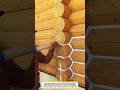 Log Cabin Joint Sealing