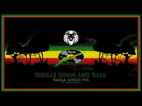 видео: REGGAE DRUM & BASS - RAGGA JUNGLE MIX